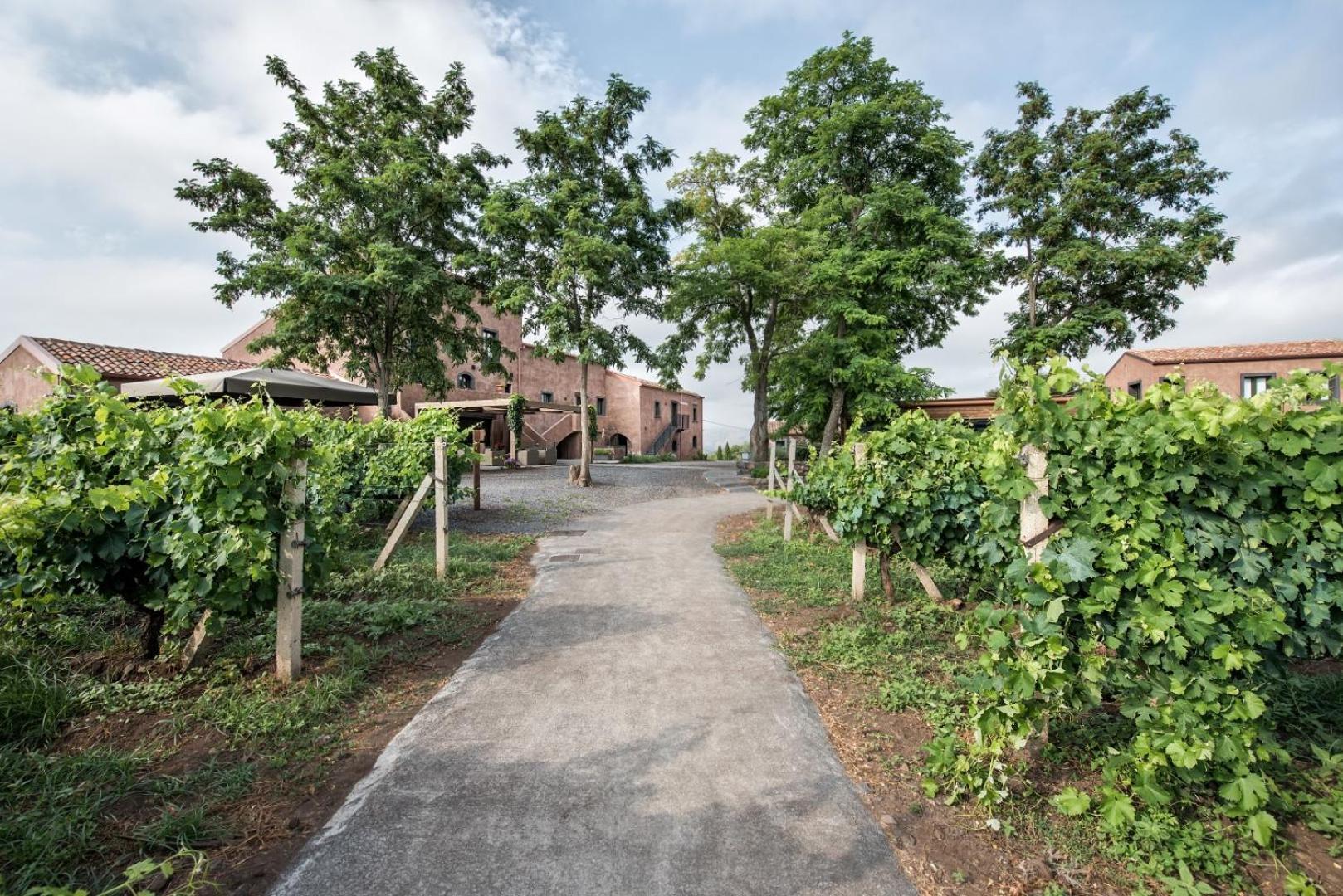 Firriato Hospitality Cavanera Etnea Resort & Wine Experience Castiglione De Sicilia Bagian luar foto